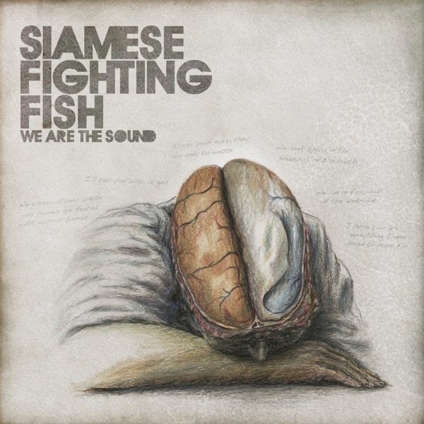 Album Siamese - We Are the Sound
