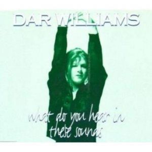 Dar Williams What Do You Hear in These Sounds, 1997