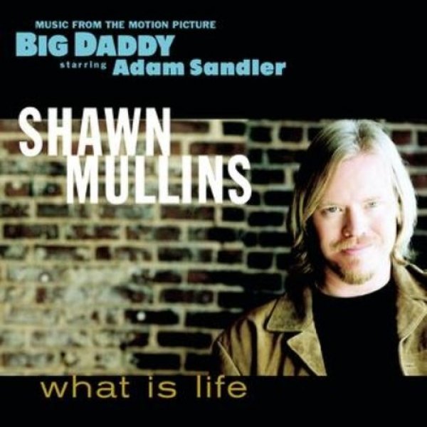 Album Shawn Mullins - What Is Life