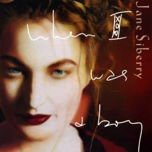 Album When I Was a Boy - Jane Siberry