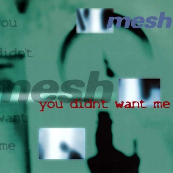 Mesh You Didn't Want Me