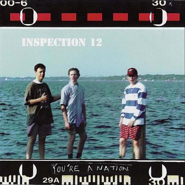 Album You're A Nation - Inspection 12