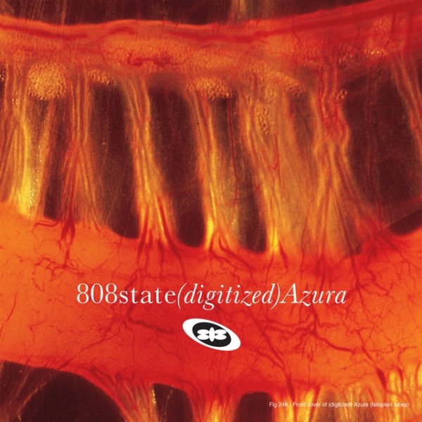 808 State Azura, 1996