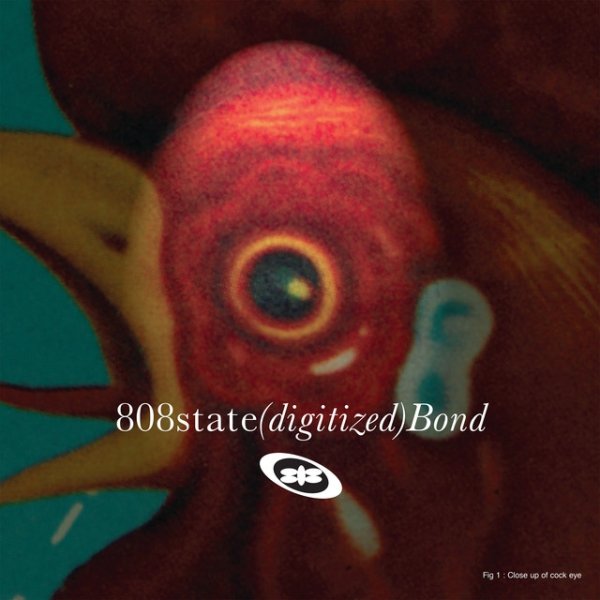 Album 808 State - Bond