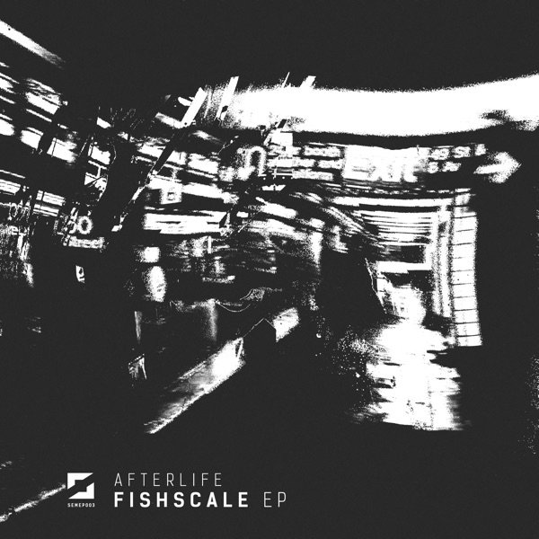 Fishscale Album 