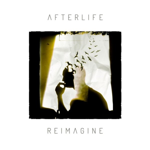 Album Afterlife - Reimagine