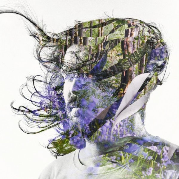 Album Bibio - Ribbons