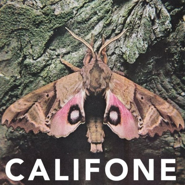 Califone Insect Courage, 2016