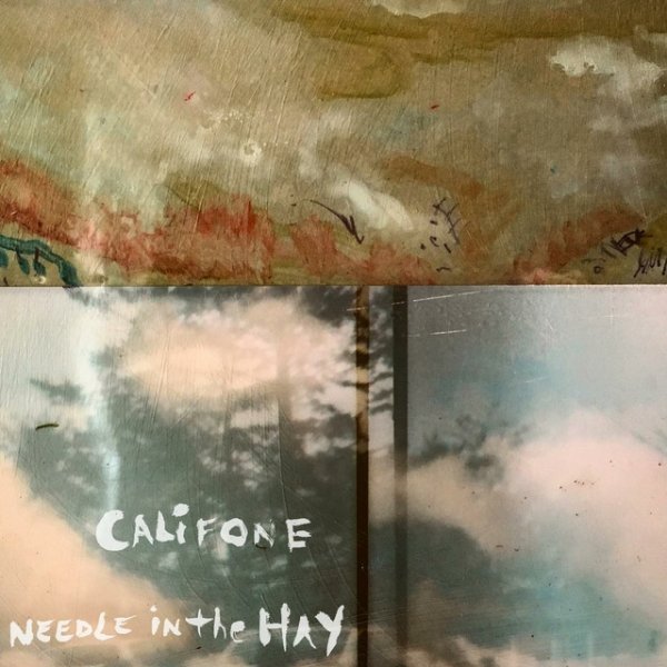 Needle in the Hay Album 