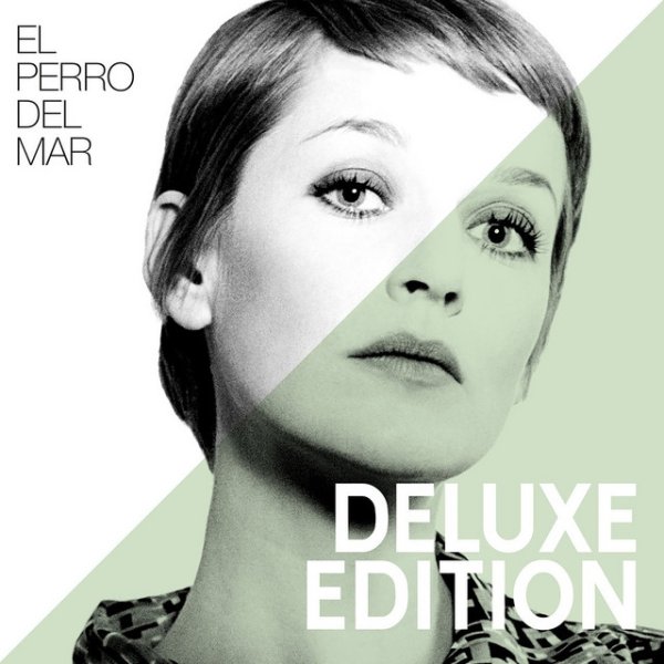 El Perro Del Mar Album 