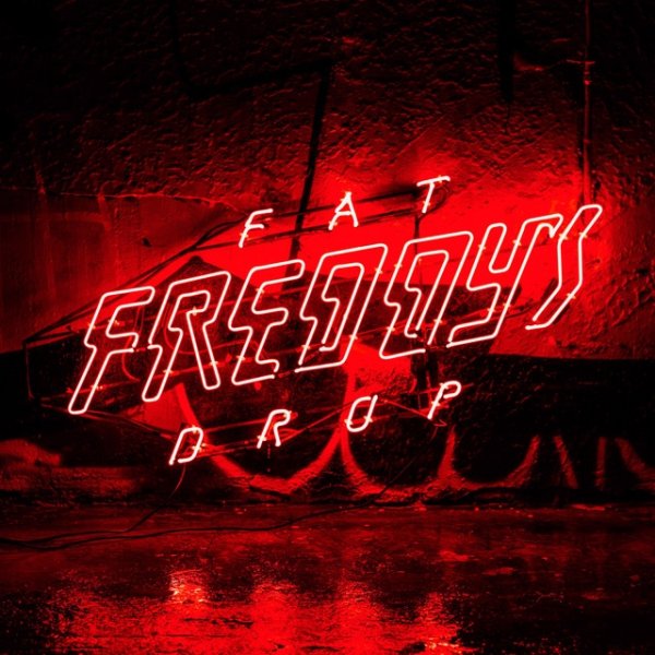 Fat Freddy's Drop BAYS, 2015