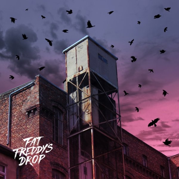 Fat Freddy's Drop Blackbird, 2023