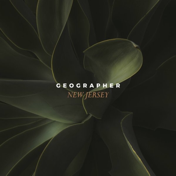 Geographer New Jersey, 2019