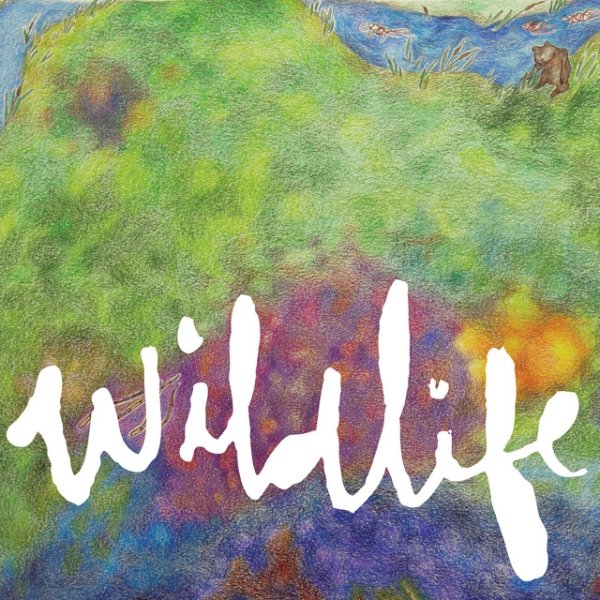 Wildlife Album 