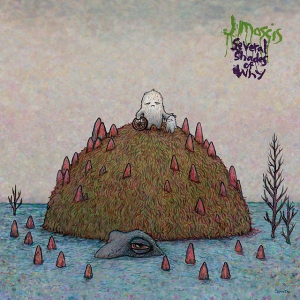 J Mascis Several Shades of Why, 2011