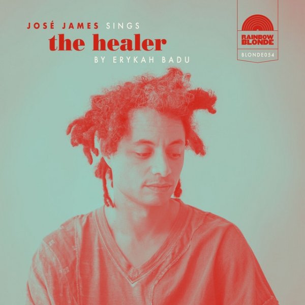 The Healer Album 