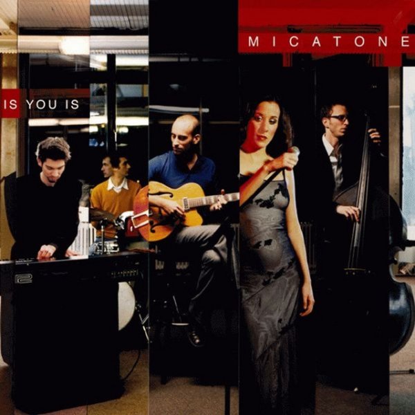 Album Micatone - Is You Is