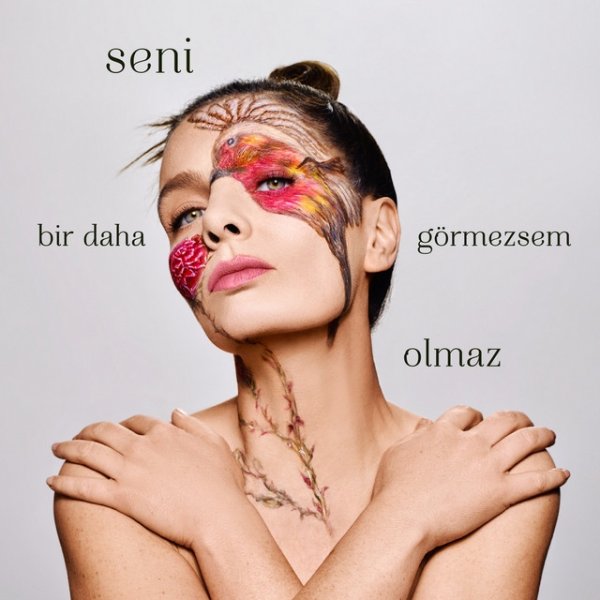 Seni Bir Daha Görmezsem Olmaz Album 