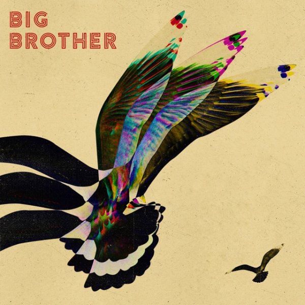 Album Oi Va Voi - Big Brother