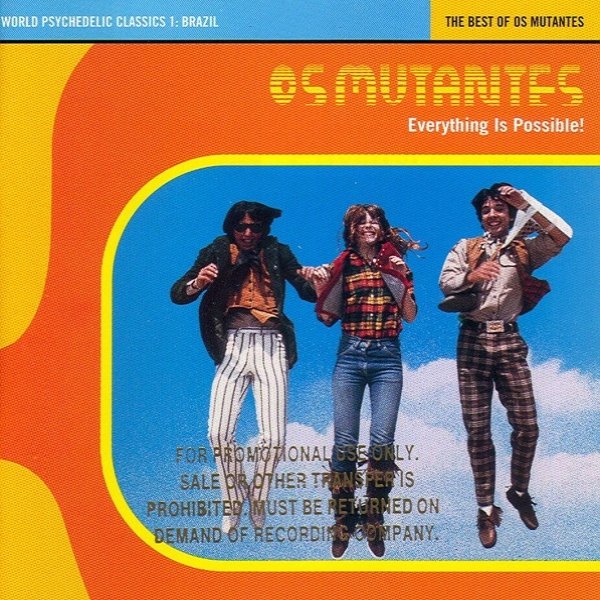 Everything Is Possible! The Best of Os Mutantes Album 