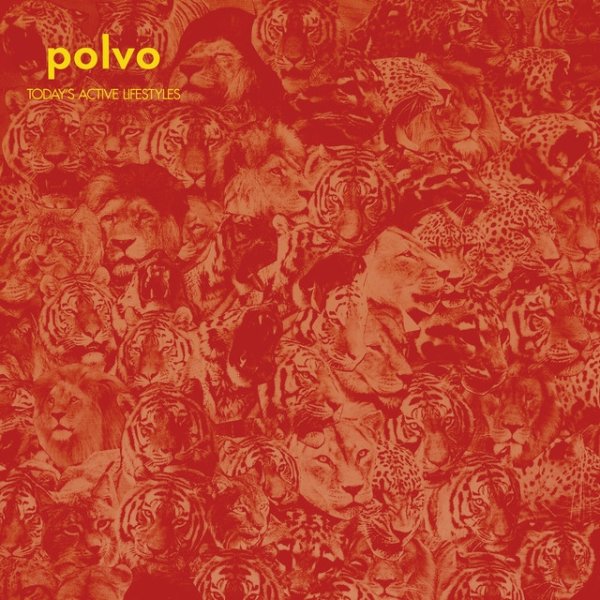 Album Polvo - Today