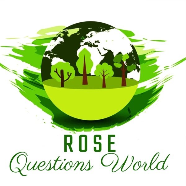 Rose Questions World, 2024