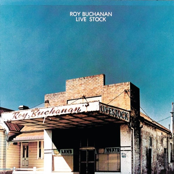 Roy Buchanan Live Stock, 1975