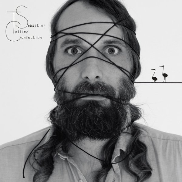 Sébastien Tellier Confection, 2013