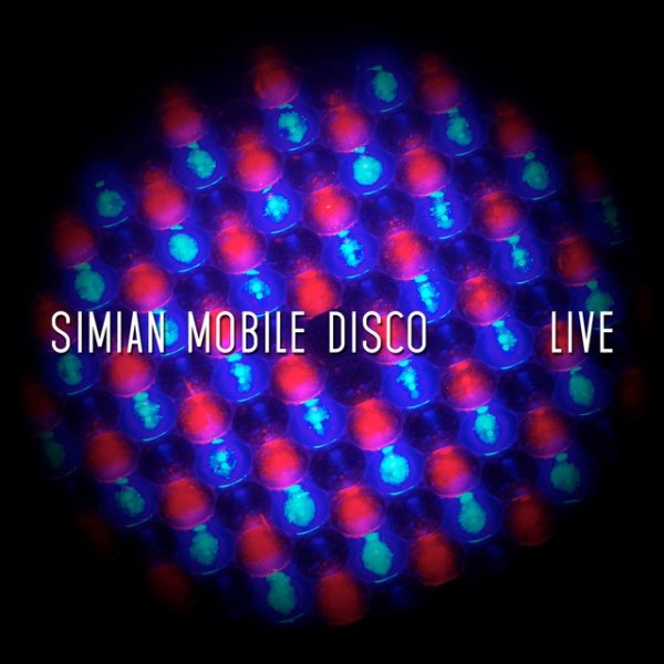 Simian Mobile Disco Live, 2013