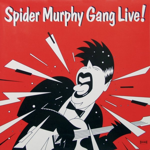 Spider Murphy Gang Live!, 2007