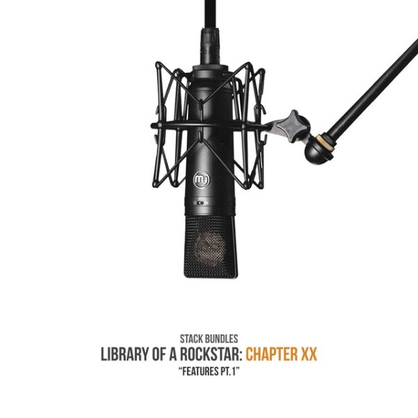 Album Stack Bundles - Library of a Rockstar: Chapter 20 - Features, Pt. 1