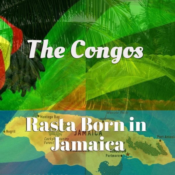 Rasta Born in Jamaica Album 