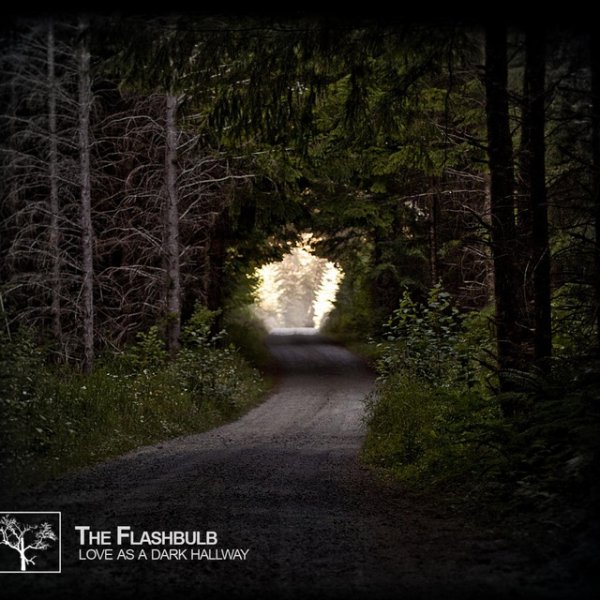 The Flashbulb Love as a Dark Hallway, 2011