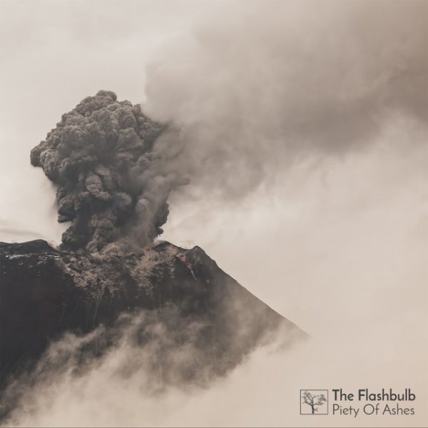 Album The Flashbulb - Piety of Ashes