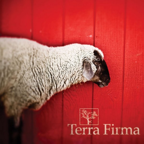 Terra Firma Album 