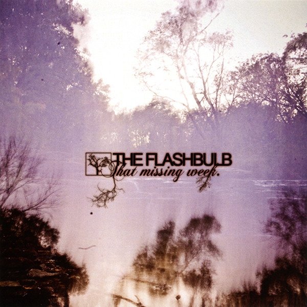 The Flashbulb That Missing Week, 2007