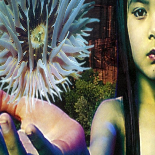 Lifeforms Album 