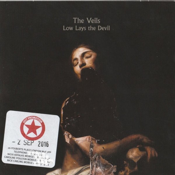 Album The Veils - Low Lays The Devil