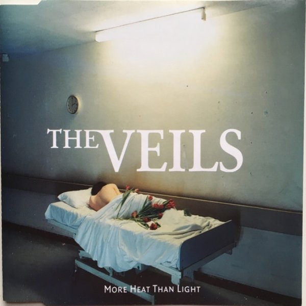 Album The Veils - More Heat Than Light