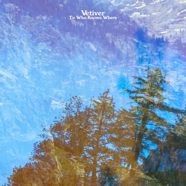 Vetiver To Who Knows Where, 2019