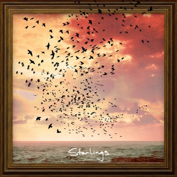 Album Von Hertzen Brothers - Starlings