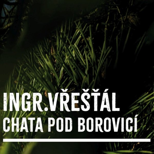 Album Zdeněk Vřešťál - Chata pod borovicí