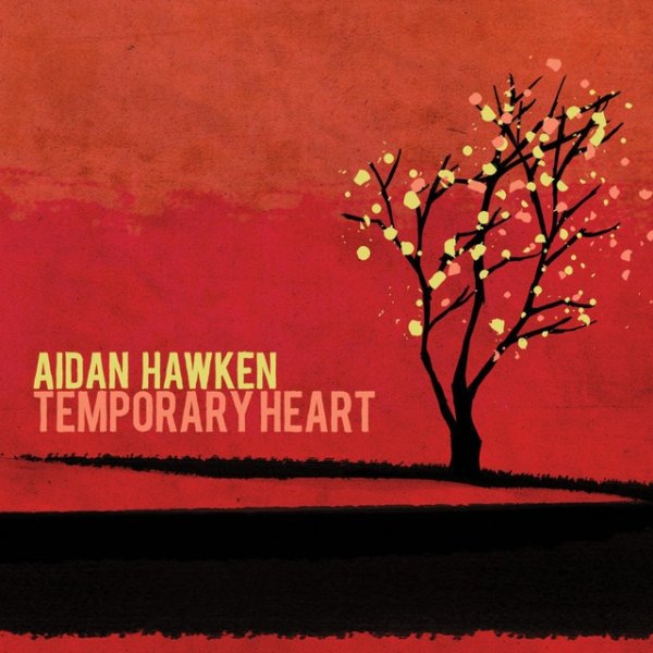 Album Aidan Hawken - Temporary Heart