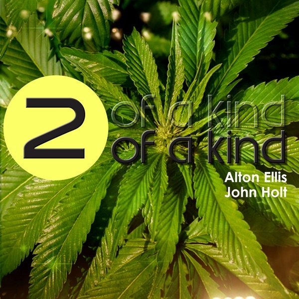 Two of a Kind Album 