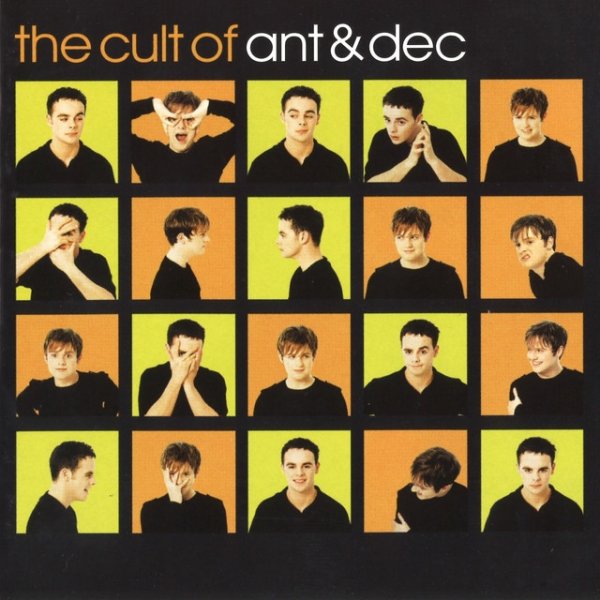 The Cult of Ant & Dec Album 