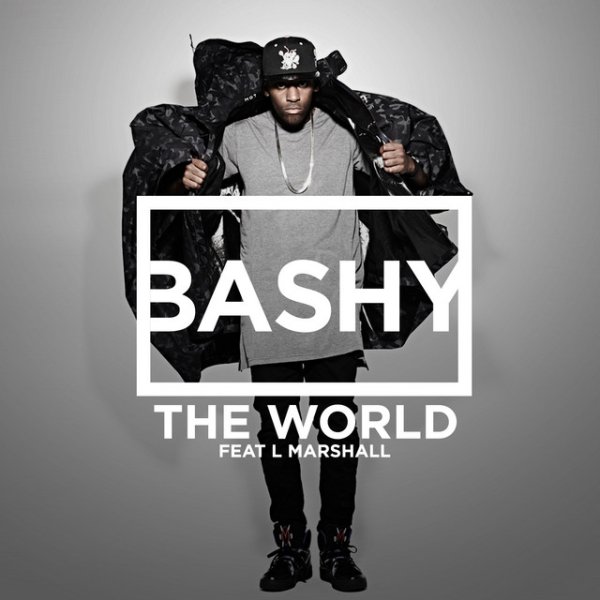 Bashy The World, 2013