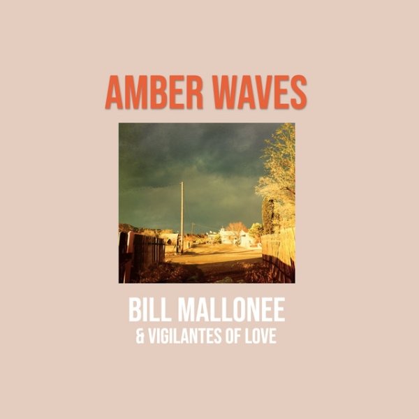 Amber Waves Album 