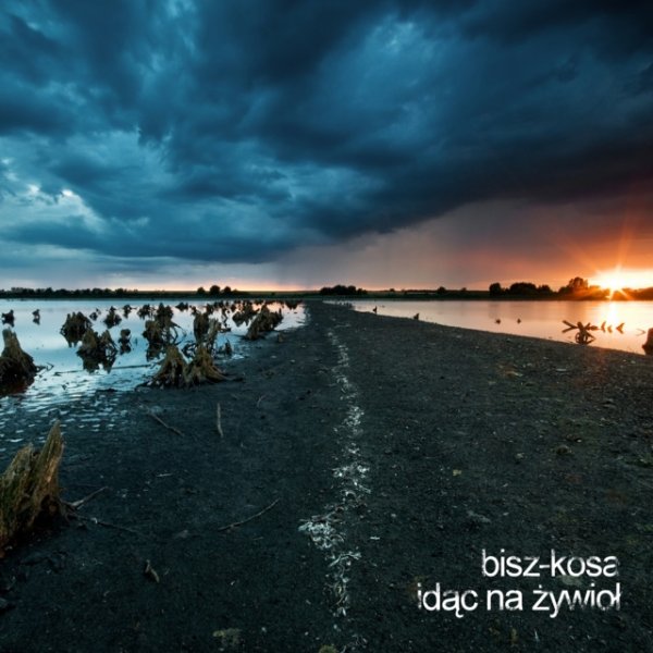 Idąc na żywioł Album 