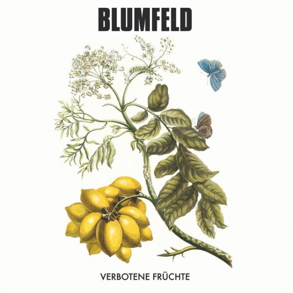 Blumfeld Verbotene Früchte, 2006