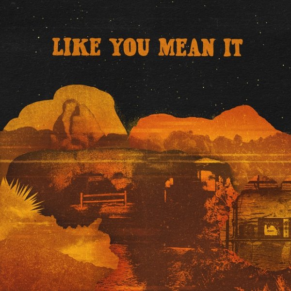 Like You Mean It Album 